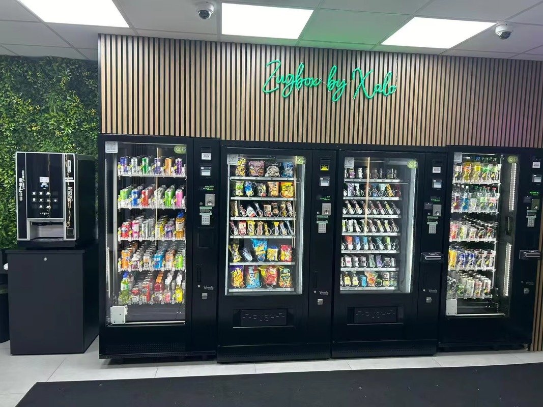 Kommerzieller Intelligenter Sn – Commercial Vending Machine Bewertung und Preis